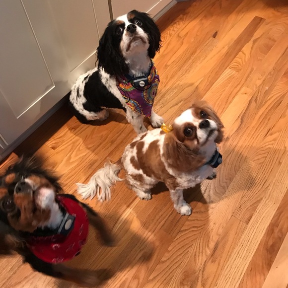 Closet Clear out News!!๐๐Meet your Posher๐๐ - Picture 11 of 16